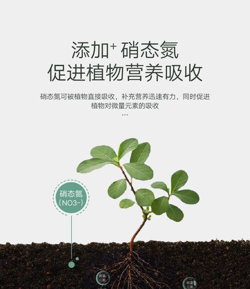 活性炭肥料的制作方法和应用（可持续发展的新型农业技术）