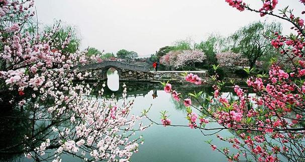 春雨喜阳还是喜阴（探讨春雨的生长环境喜好）