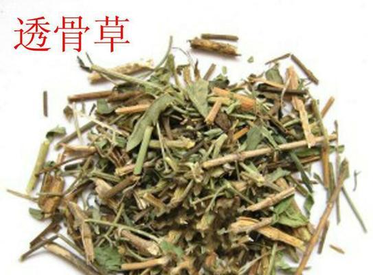 龙骨草，神奇的中草药（从中医角度看龙骨草的功效与作用）