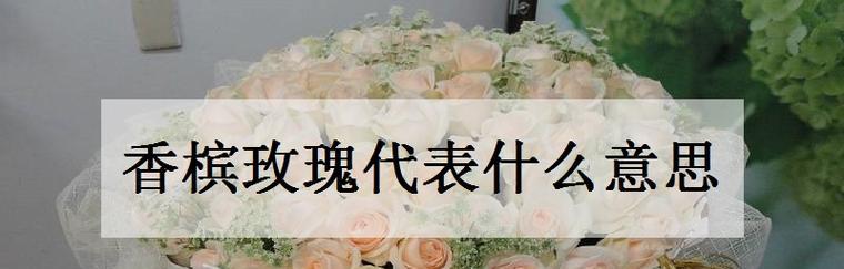 解析18朵玫瑰花语的含义（探究18朵玫瑰花语代表的意义）