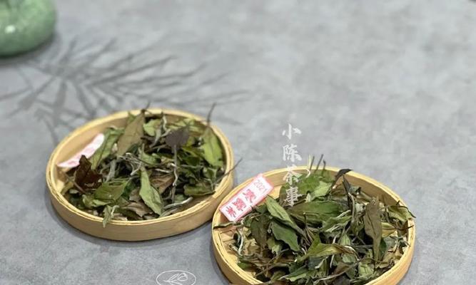 白露茶的种类和品质（白露茶是什么茶）