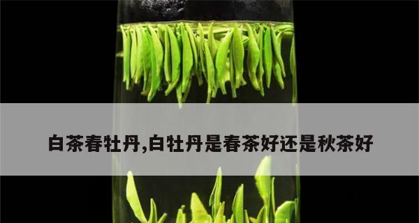 白牡丹属于什么茶（白牡丹的种类）