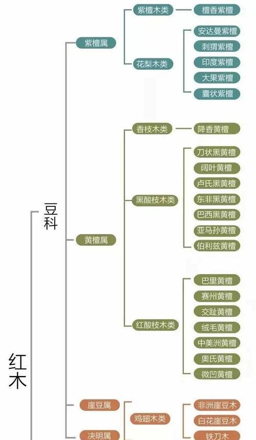 发财树分株移植全指南（时间、方法、注意事项一网打尽）