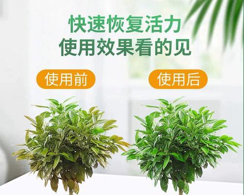 发财树营养液正确使用方法（营养液浇灌间隔时间和使用注意事项）