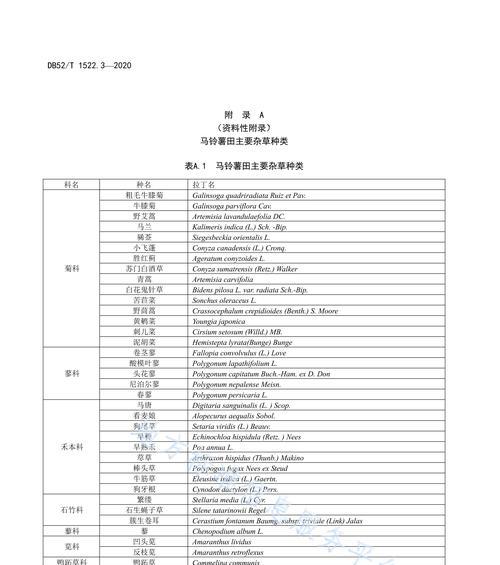 马铃薯病虫害如何防治？有效防治技术与方法措施有哪些？