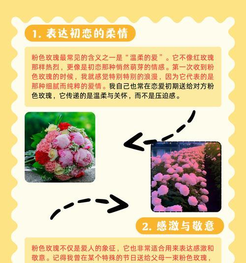 小朵玫瑰花的寓意是什么？送人有何特别含义？