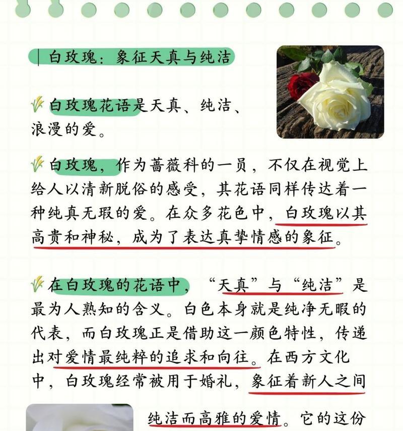 红玫瑰和白玫瑰分别象征了哪种女性特质？