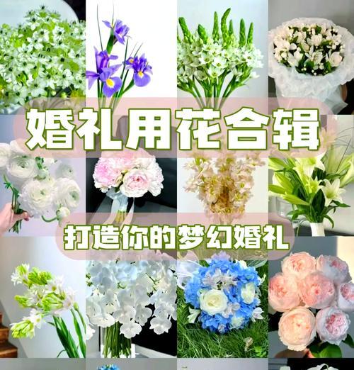 结婚时送哪种植物最合适？植物在婚礼中代表什么？