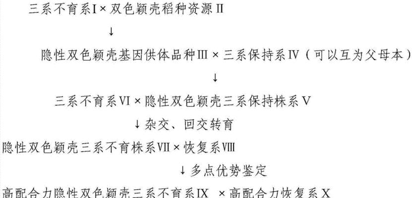 杂交水稻产种子的过程是怎样的？种子如何影响产量？