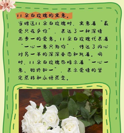 晴朗里的白玫瑰代表什么？花语有何含义？