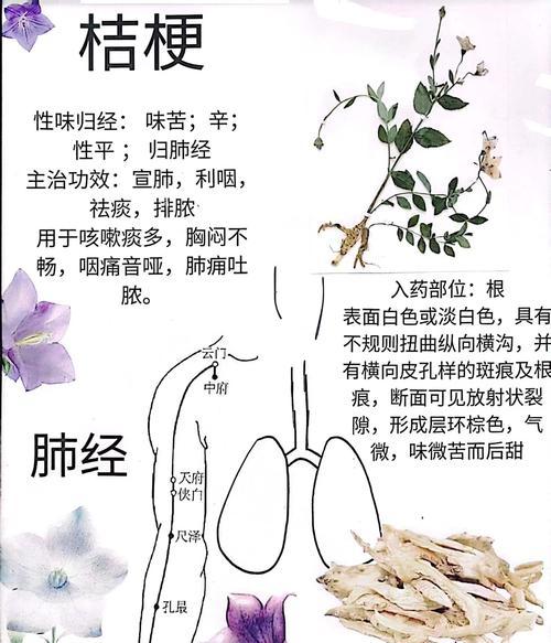 如何制作动植物标本？制作标本的步骤和注意事项有哪些？