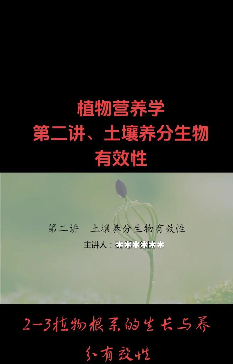 植物的根系有哪些类型？不同根系的植物如何养护？