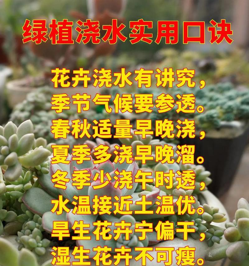 花卉浇水量如何控制？不同植物的浇水量标准是什么？