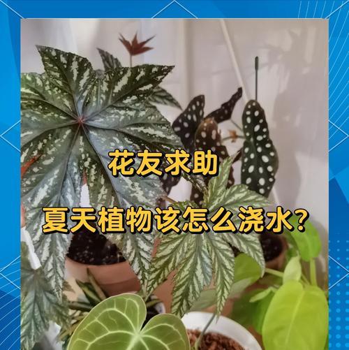 花卉浇水量如何控制？不同植物的浇水量标准是什么？