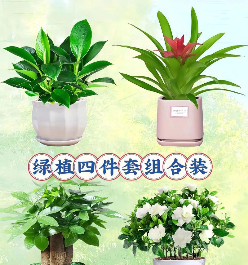 植物解说的是什么植物？有哪些特点？